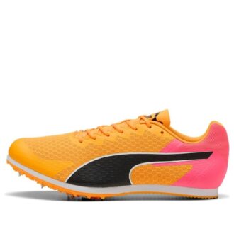 evoSPEED Star 9 “Sun Stream”