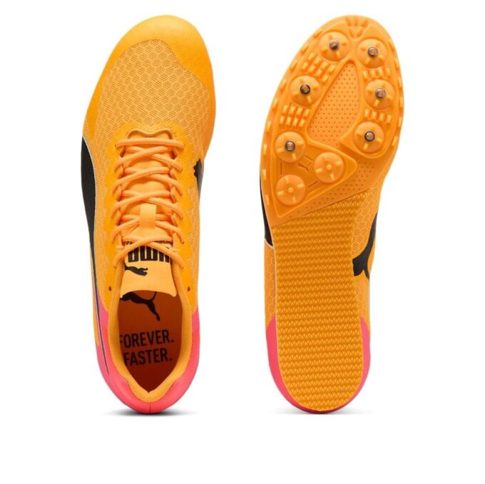 evoSPEED Star 9 “Sun Stream”