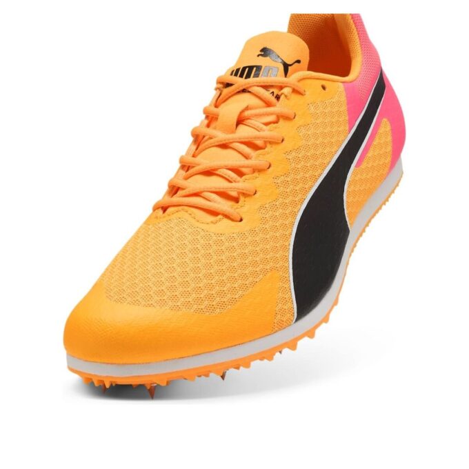 evoSPEED Star 9 “Sun Stream”