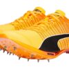 evoSPEED Tokyo Nitro “Sun Stream”