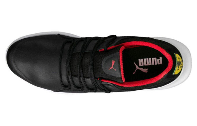 Ferrari Evo Cat “Black”