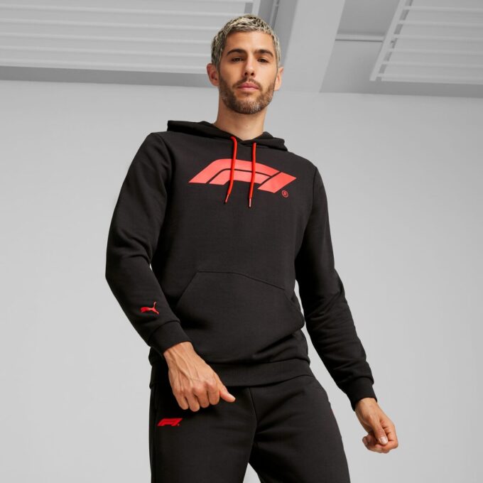 Formula 1® Motorsport Essentials Men Hoodie