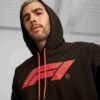 Formula 1® Motorsport Essentials Men Hoodie