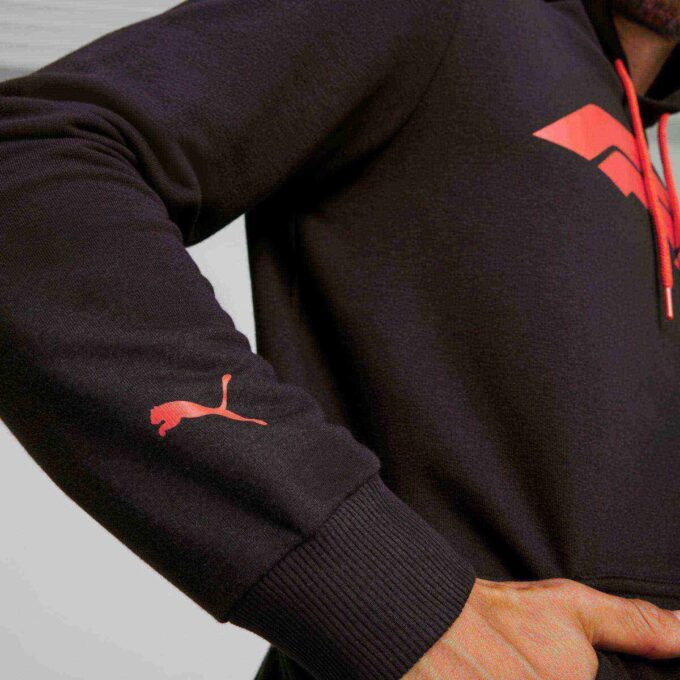 Formula 1® Motorsport Essentials Men Hoodie