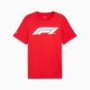 Formula 1® Motorsport Essentials Men Tee