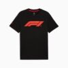 Formula 1® Motorsport Essentials Men Tee