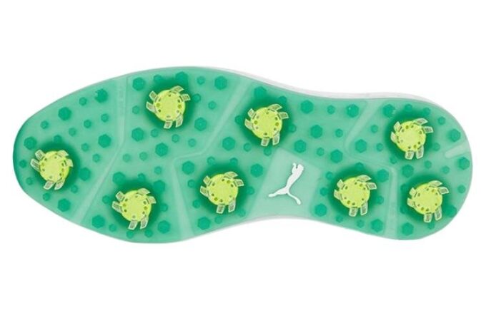 Ignite Articulate Azalea “White Archive Green”