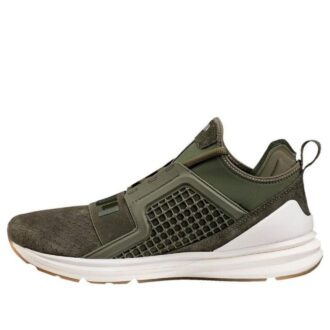 Ignite Limitless Reptile “Retro Versatile Green”