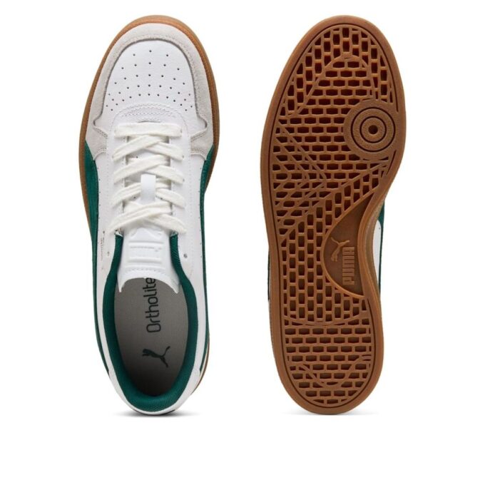 Indoor “White Dark Myrtle”