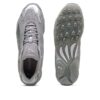Inhale Metallic “Glacial Grey Silver”
