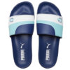 Leadcat FTR Slide “Angel Blue”