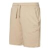 Logo Shorts “Beige”