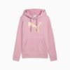 Metallic Women Hoodie Metallic Women Hoodie