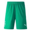 Neymar Jr Football Shorts “Green”