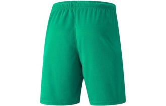 Neymar Jr Football Shorts “Green”