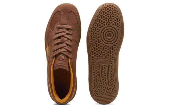 Palermo “Brown Mushroom Ginger Tea”