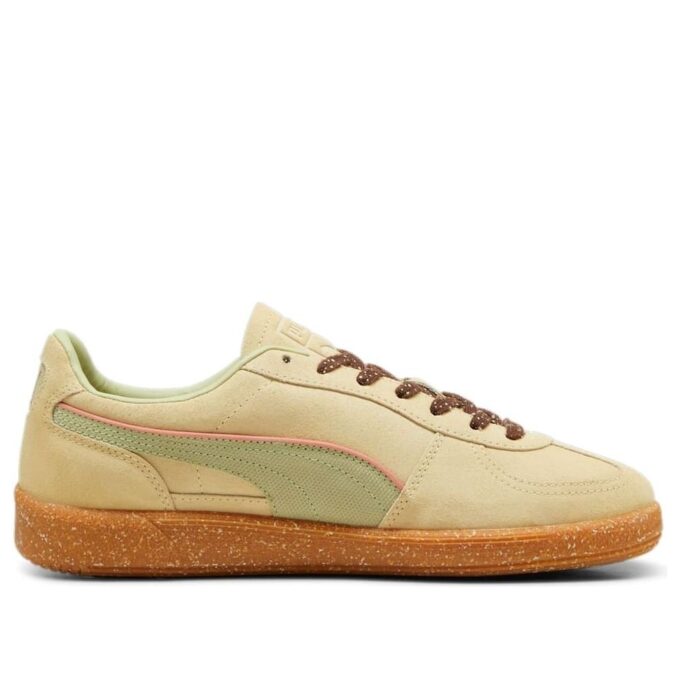 Palermo Cannoli “Creamy Vanilla Pistachio Green”