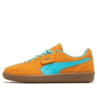 Palermo “Dark Cheddar Bright Aqua”