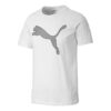 Performance Cat Training T-Shirt “White”