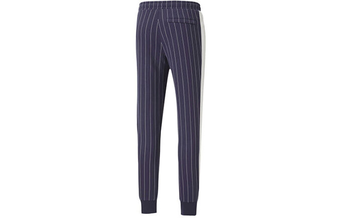 Pinstripe Casual Fleece Lined Long Pants Blue