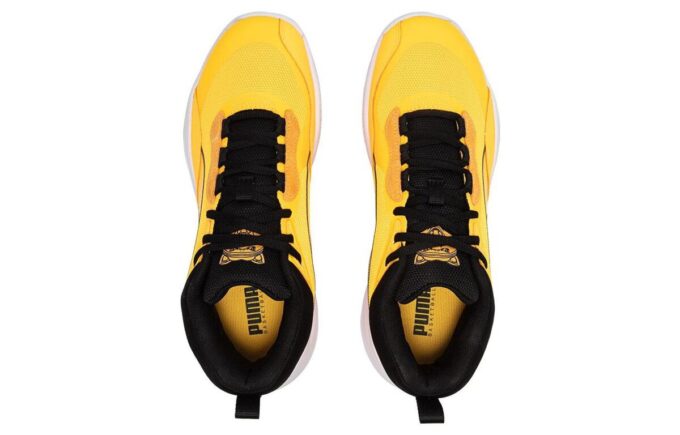 Playmaker Pro “Dylan-Sun Stream”