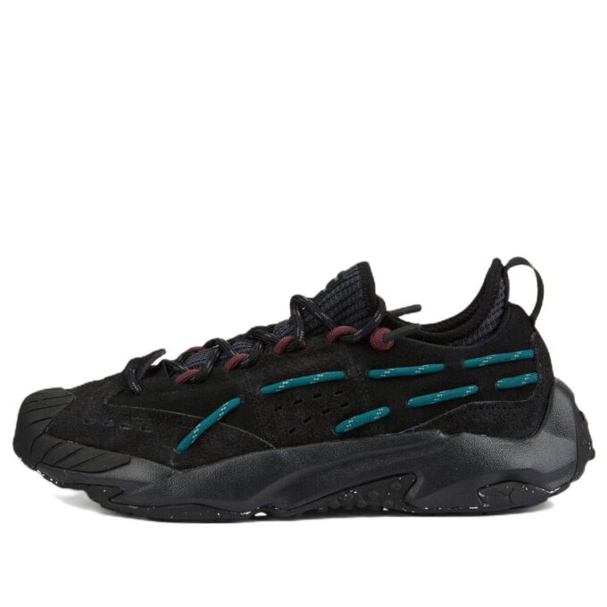 Plexus “Black Varsity Green”