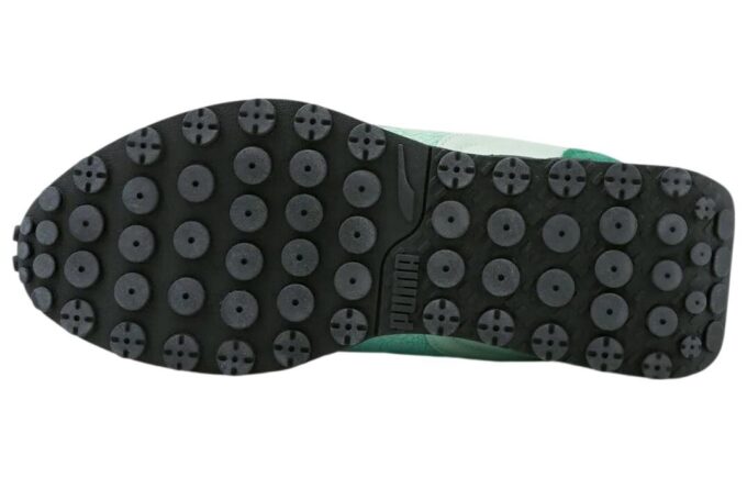 Pokmon x Rider FV “Bulbasaur”