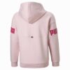 Power Pack Big Kids’ Colorblock Hoodie Power Pack Big Kids’ Colorblock Hoodie