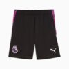 Premier League Brilliance Men Soccer Shorts Premier League Brilliance Men Soccer Shorts