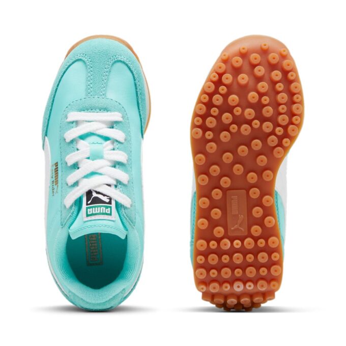 (PS) Easy Rider Vintage “Mint”