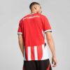 PSV Eindhoven 24/25 Men Replica Home Soccer Jersey