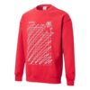 PUMA x Michael Lau Graphic Long Sleeve Crew Neck Sweaters “Red”