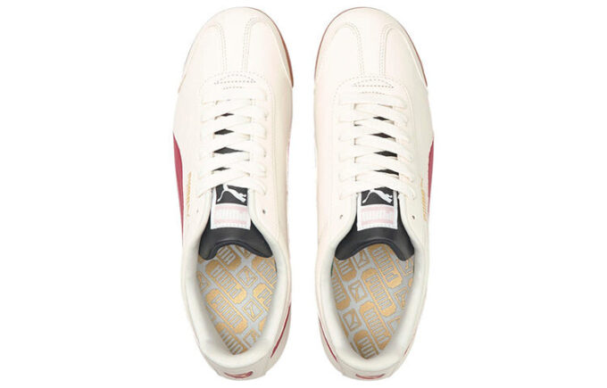 Roma Basic + “Ivory Glow Intense Red”