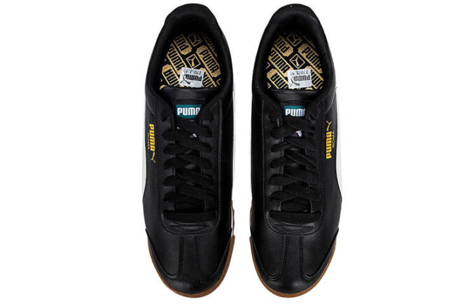 Roma Basic Plus “White Varsity Green”