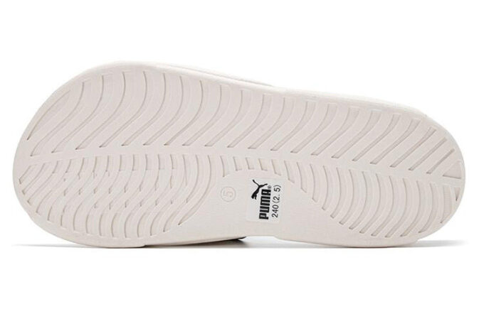 Royalcat Bz Yinshua “White and Yellow”