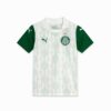 SE Palmeiras Torcedor ’25 Away Big Kids’ Soccer Jersey SE Palmeiras Torcedor ’25 Away Big Kids’ Soccer Jersey
