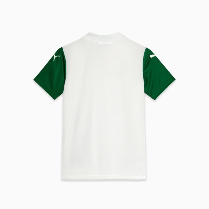 SE Palmeiras Torcedor ’25 Away Big Kids’ Soccer Jersey SE Palmeiras Torcedor ’25 Away Big Kids’ Soccer Jersey