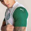 SE Palmeiras Torcedor ’25 Away Men Soccer Jersey SE Palmeiras Torcedor ’25 Away Men Soccer Jersey