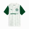 SE Palmeiras Torcedor ’25 Away Men Soccer Jersey SE Palmeiras Torcedor ’25 Away Men Soccer Jersey