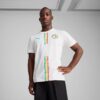 Senegal 2025 Men Home Replica Soccer Jersey Senegal 2025 Men Home Replica Soccer Jersey