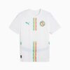 Senegal 2025 Men Home Replica Soccer Jersey Senegal 2025 Men Home Replica Soccer Jersey