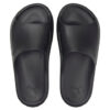 Shibui Cat Slide “Black”
