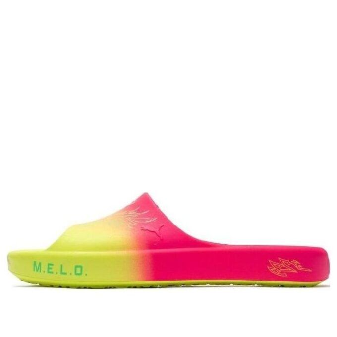 Shibui Cat Slide x Rick and Morty x LaMelo Ball “Adventures”