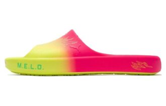 Shibui Cat Slide x Rick and Morty x LaMelo Ball “Adventures”