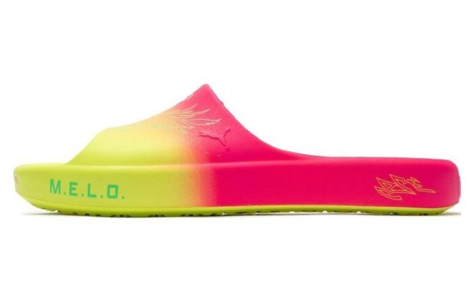 Shibui Cat Slide x Rick and Morty x LaMelo Ball “Adventures”