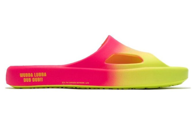 Shibui Cat Slide x Rick and Morty x LaMelo Ball “Adventures”