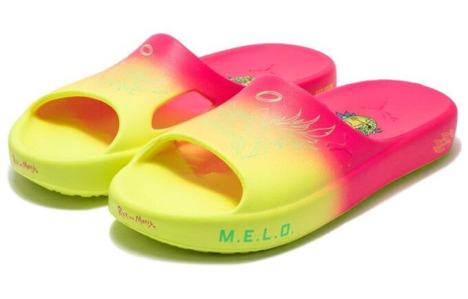 Shibui Cat Slide x Rick and Morty x LaMelo Ball “Adventures”