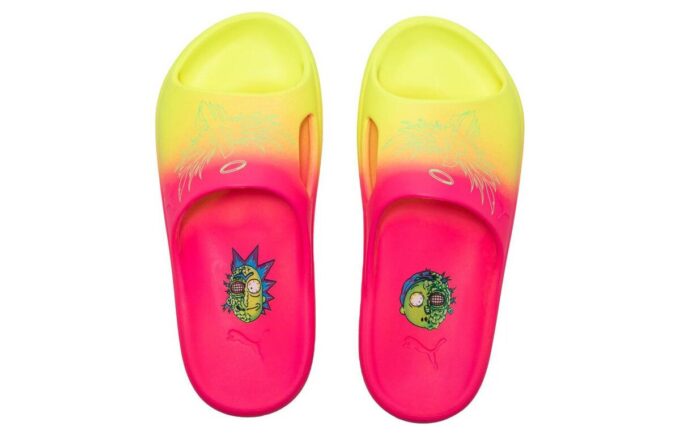 Shibui Cat Slide x Rick and Morty x LaMelo Ball “Adventures”