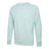 Street Style Long Sleeves Sweatshirts “Teal”
