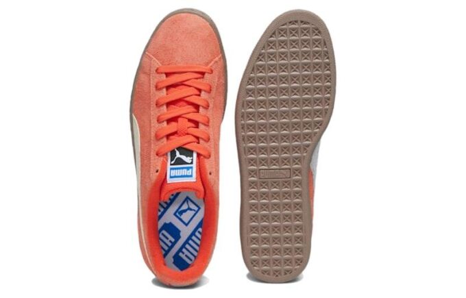 Suede NT “Fall Foliage Snow Light Grey”